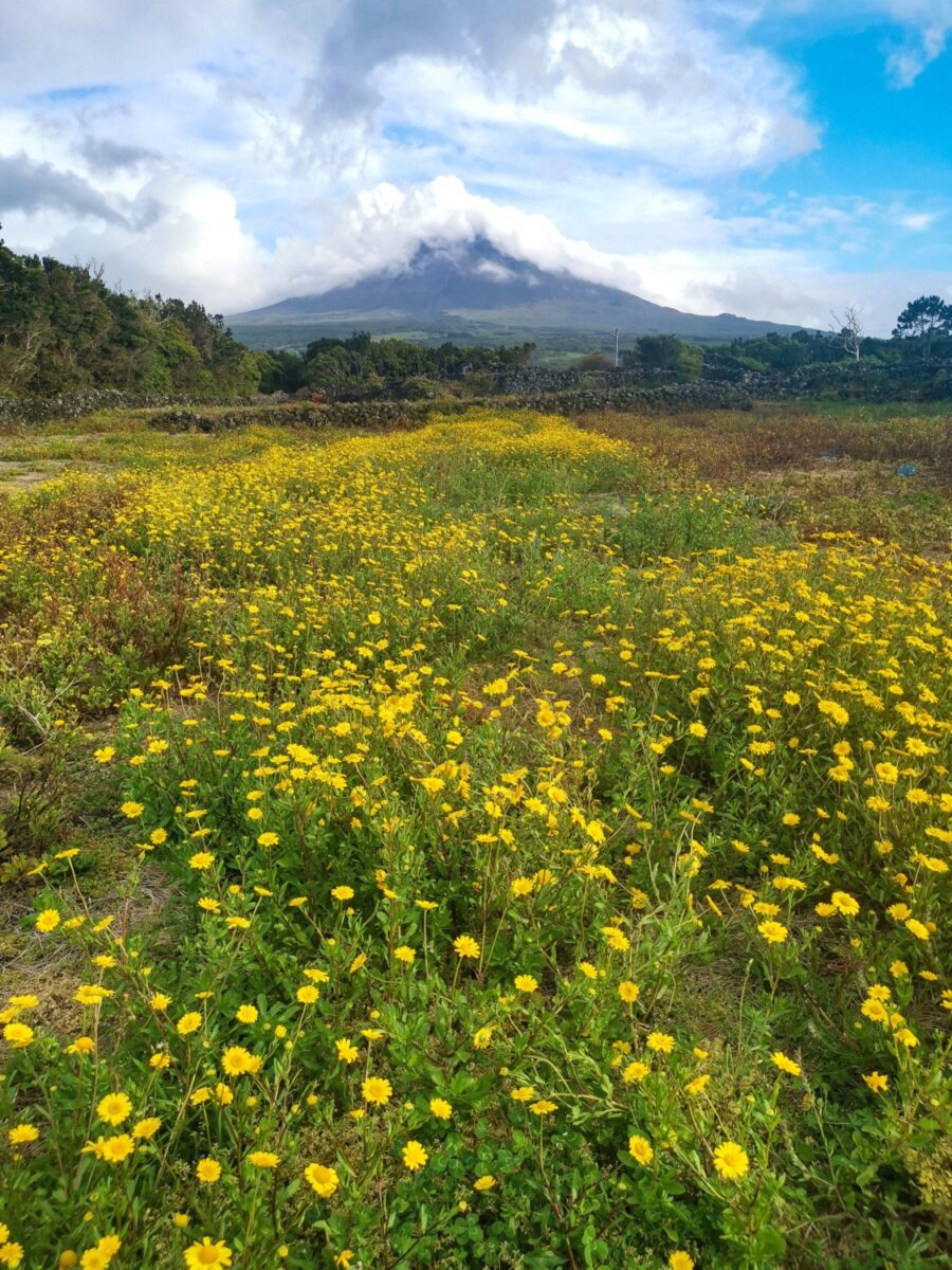 Monte Pico