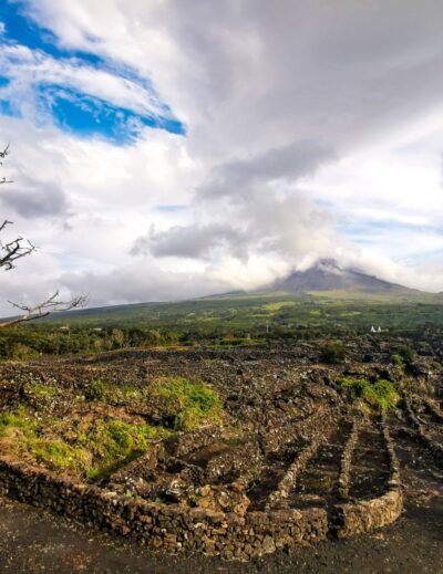 isola di pico