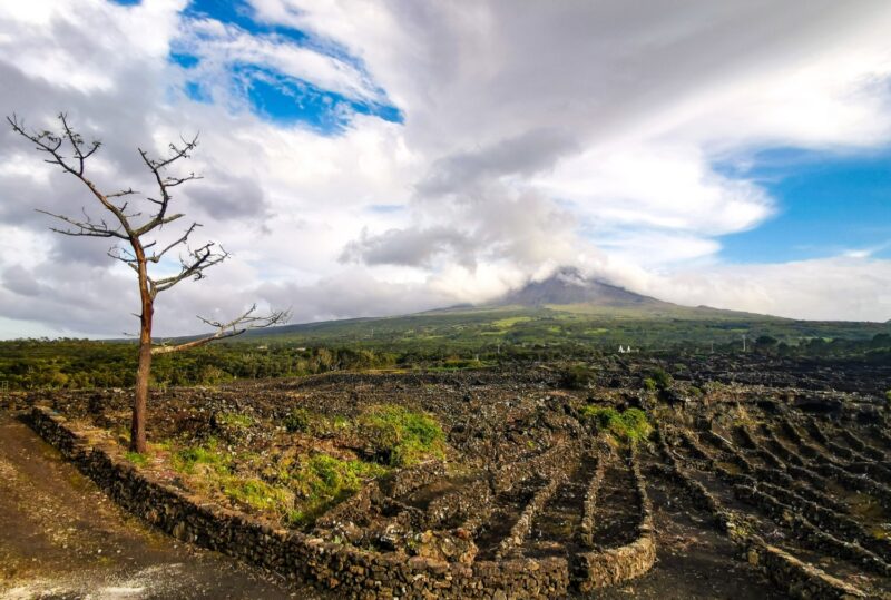 isola di pico