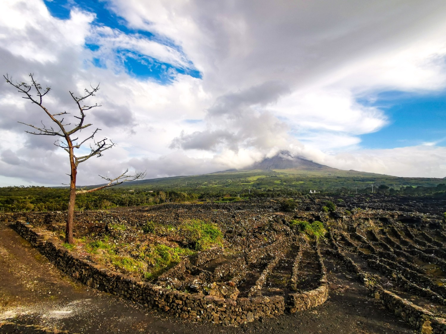 isola di pico