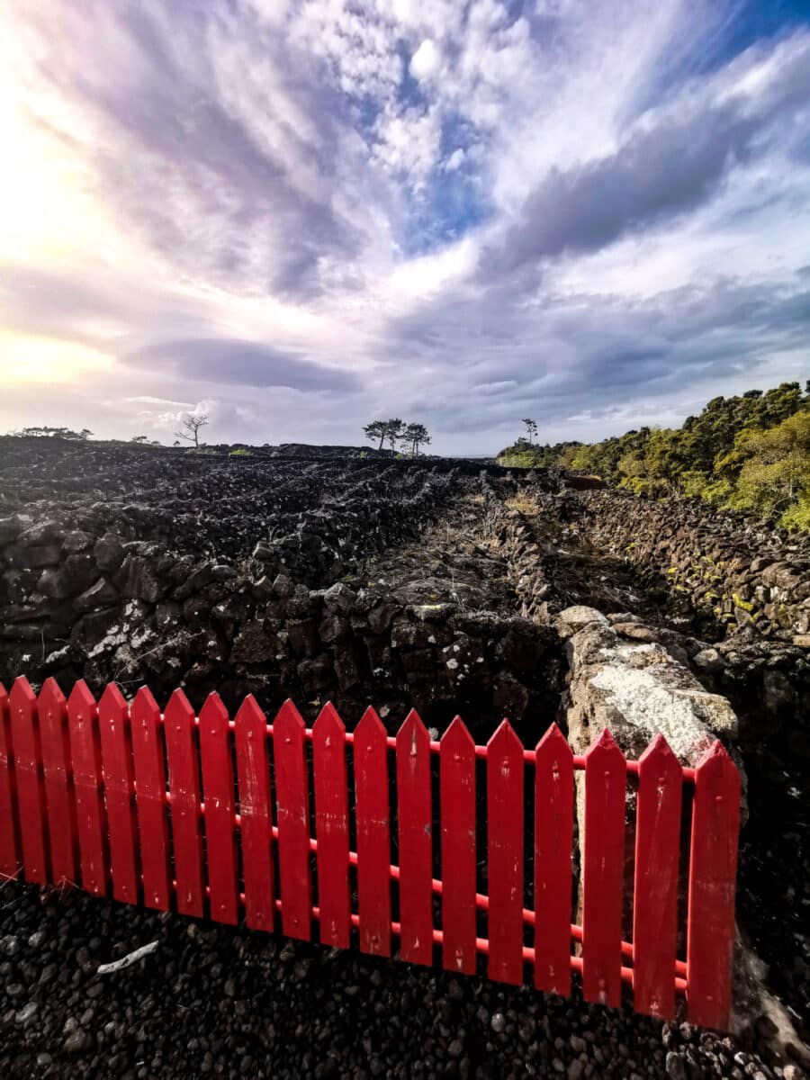 Paisagem da Cultura da Vinha