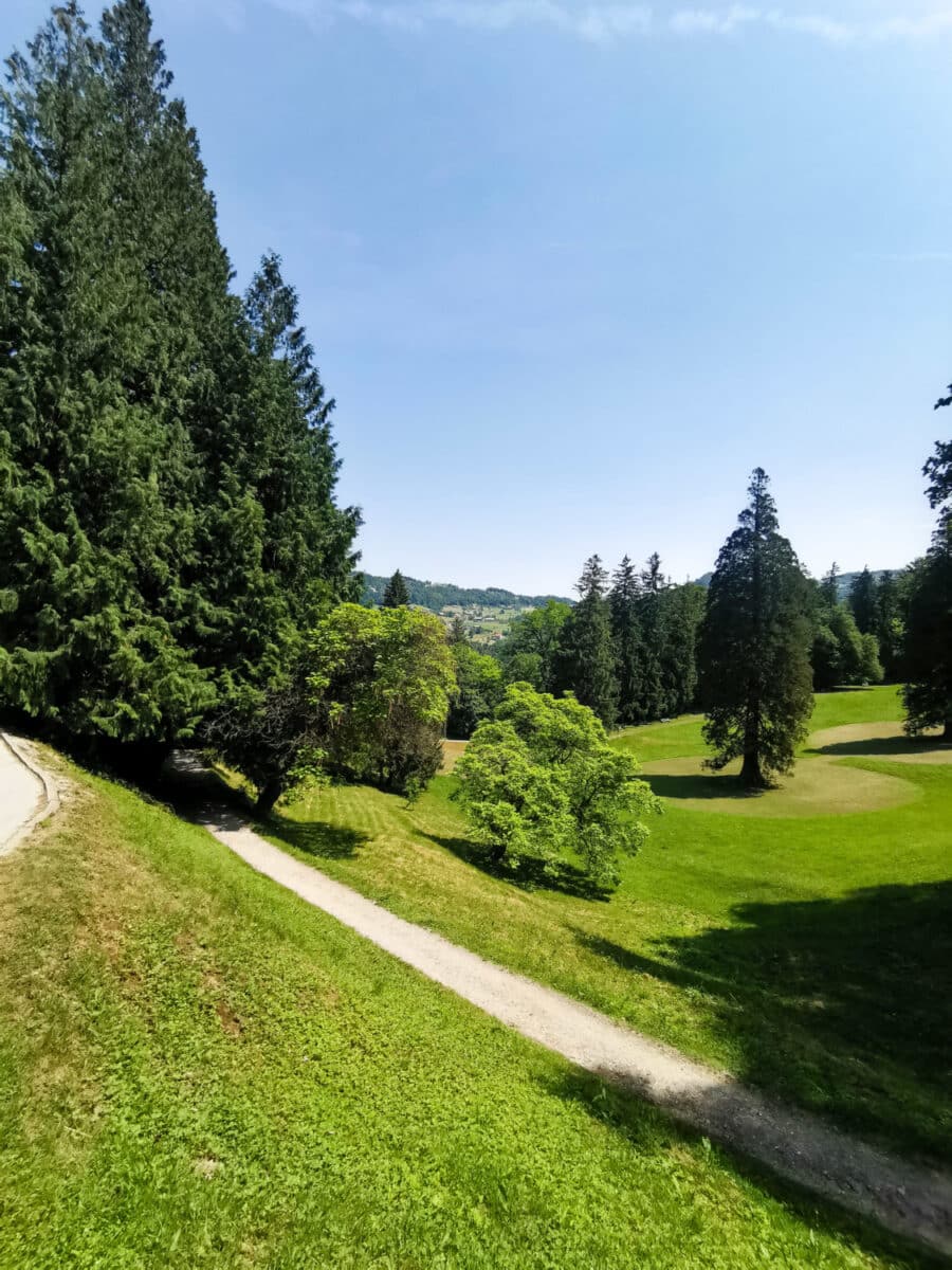 Il bosco intorno al complesso termale Il bosco intorno al complesso termale