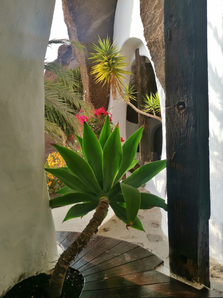 casa di omar sharif