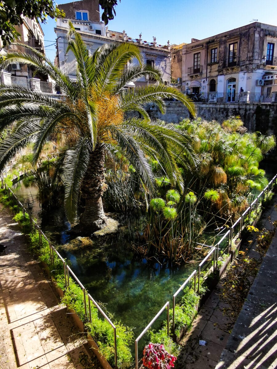 Ortigia Ortigia