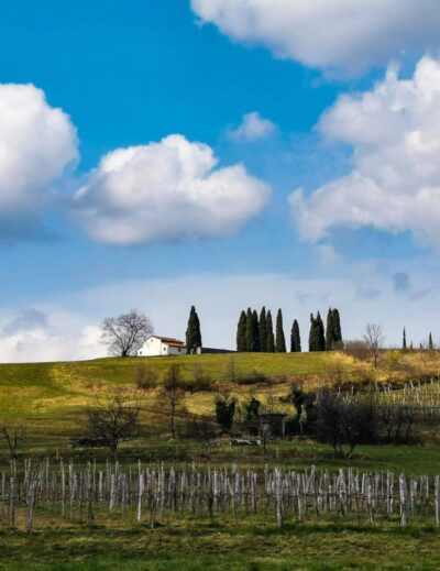 Goce valle del vipava
