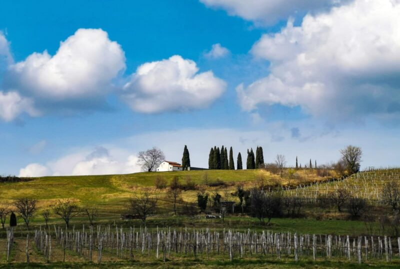 Goce valle del vipava