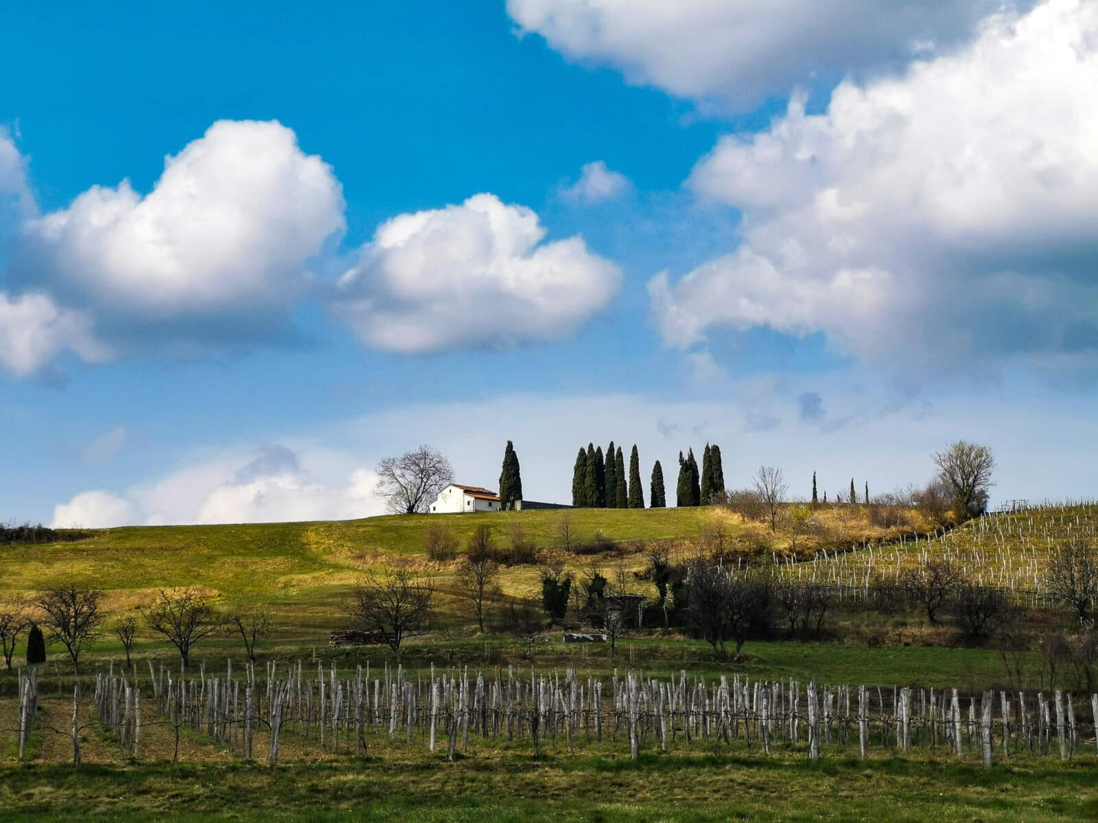 Goce valle del vipava
