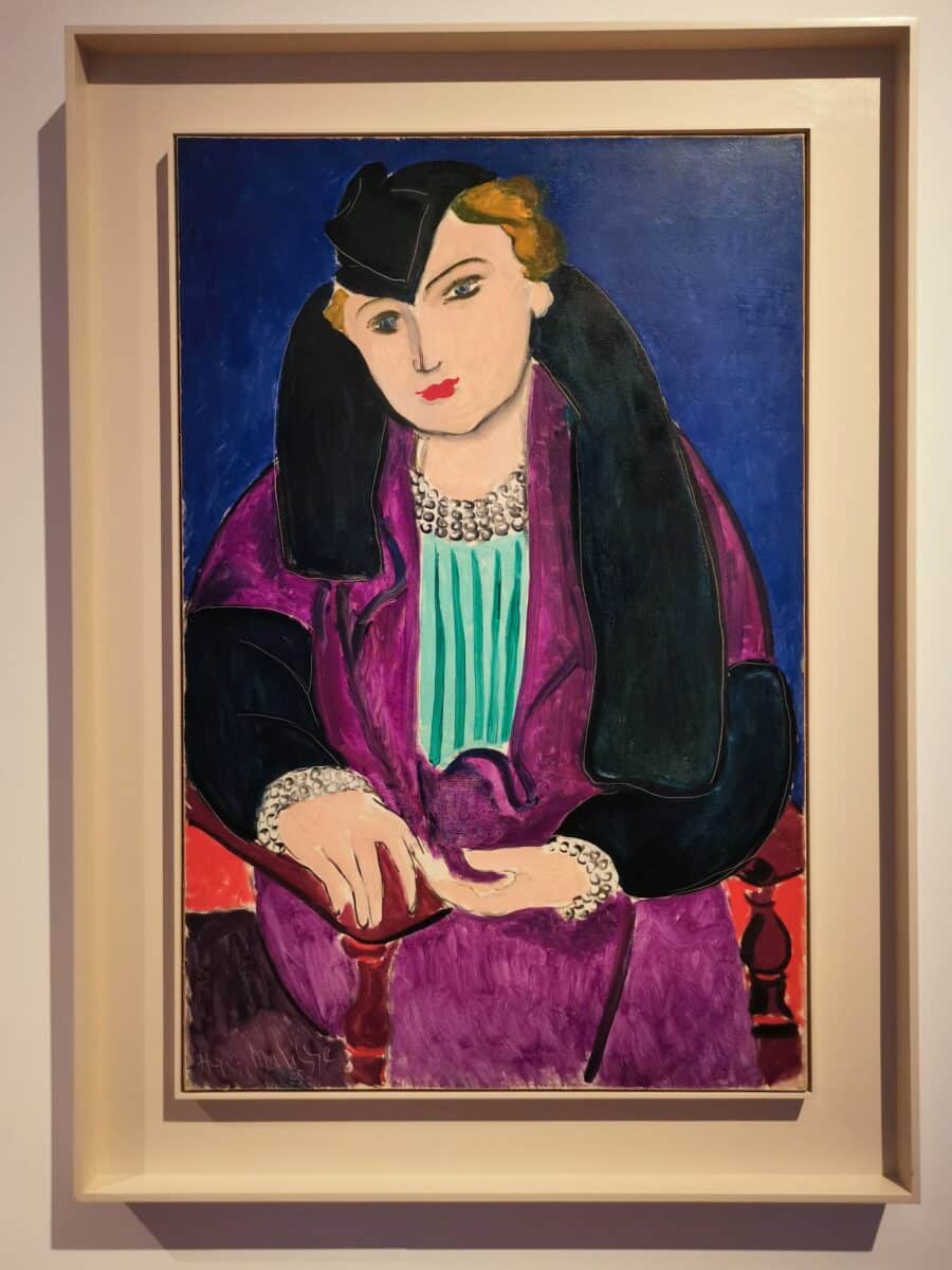 Museo Matisse