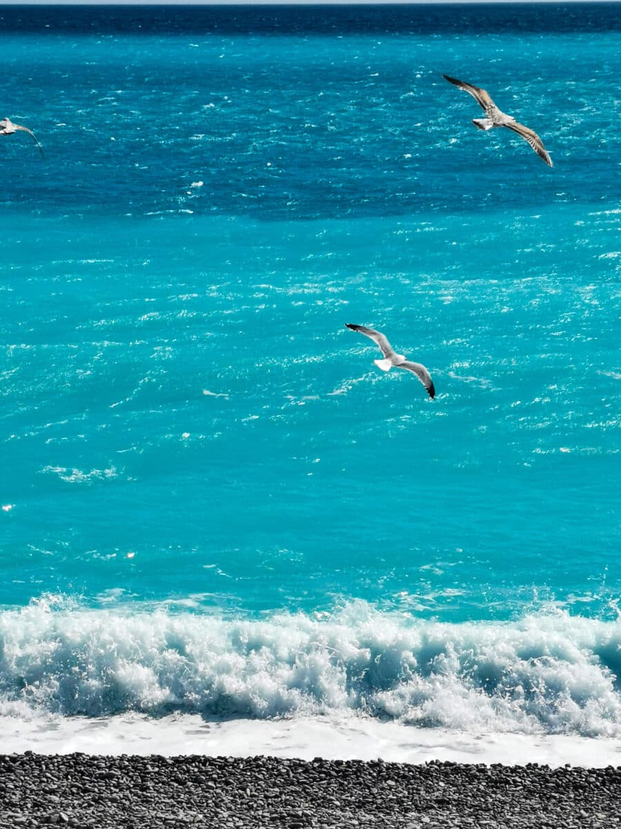 Promenade Des Anglais