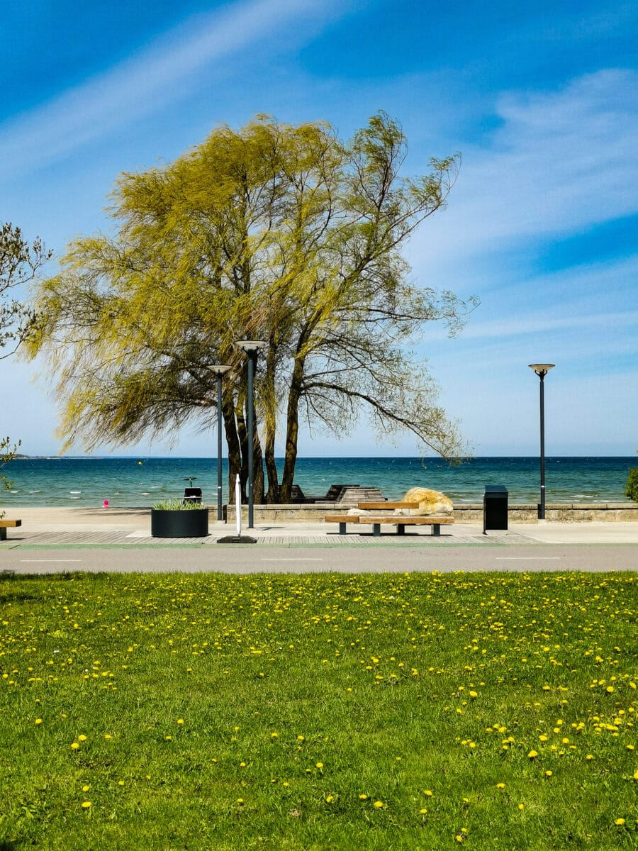 Il lungomare di Pirita Il lungomare di Pirita