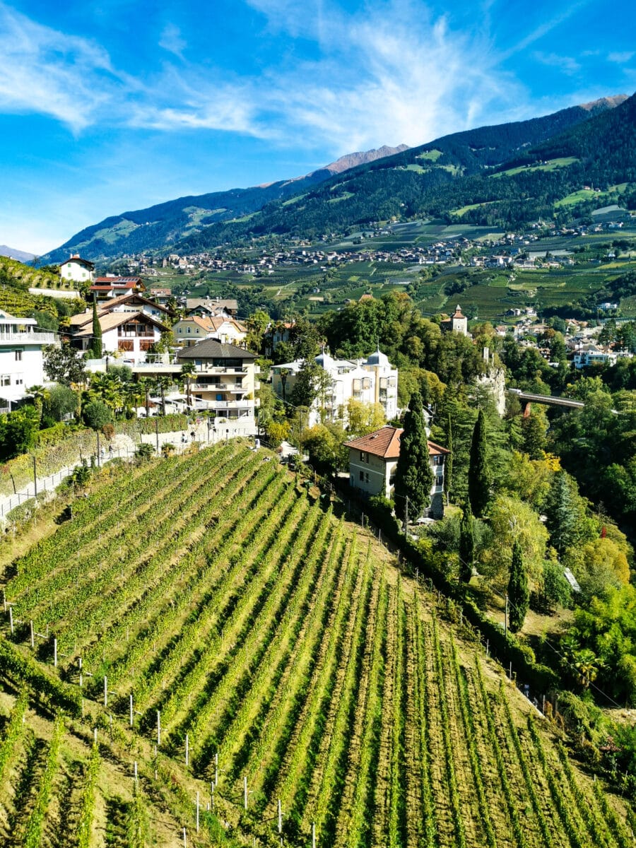 Vista sui vigneti dalla Passeggiata Tappeiner Vista sui vigneti dalla Passeggiata Tappeiner