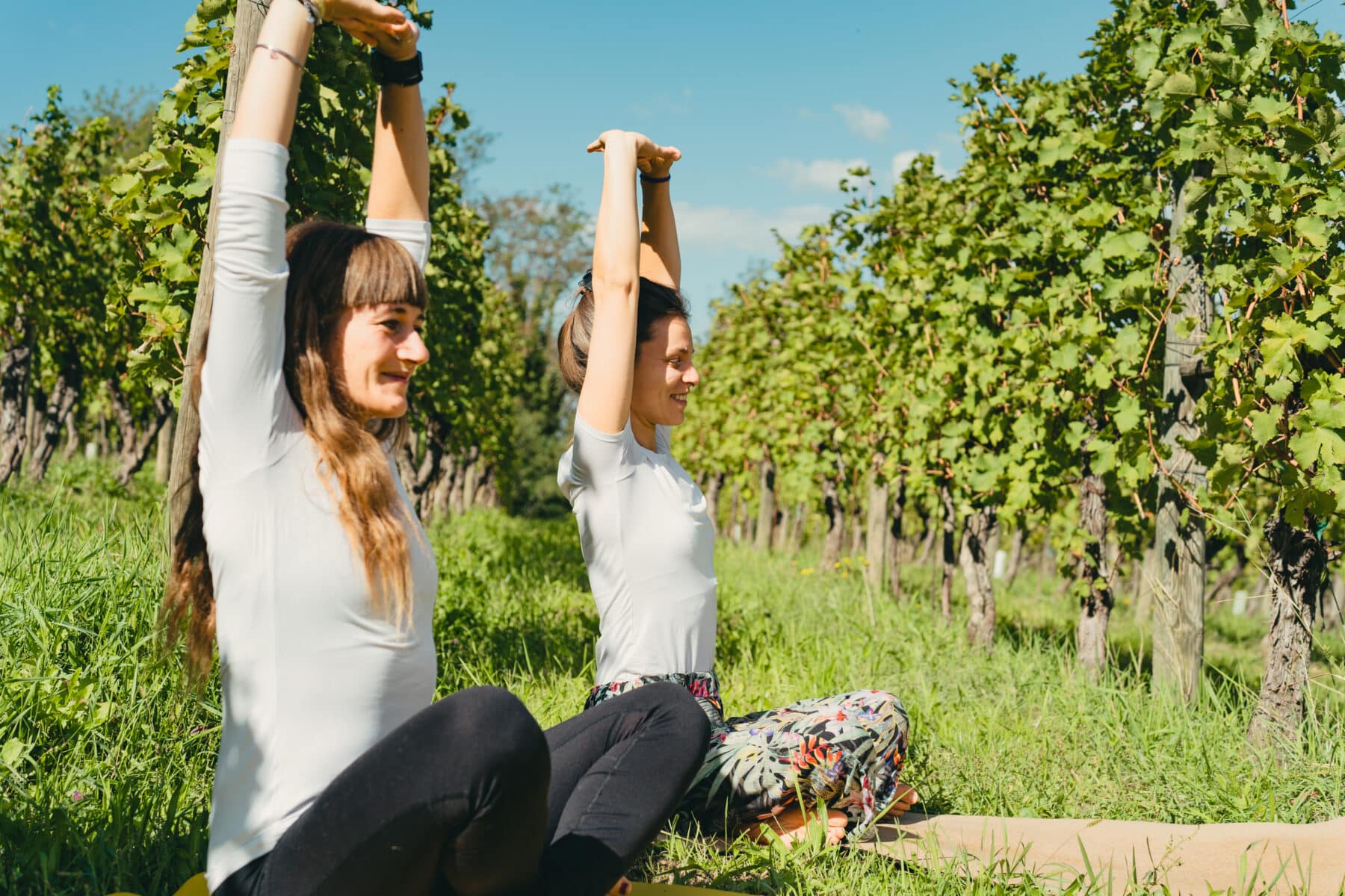 Lezione di yoga in vigna Lezione di yoga in vigna