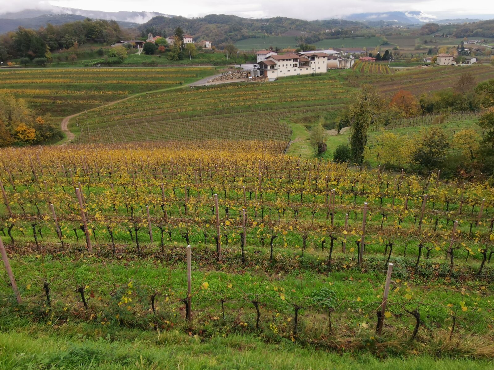 Panorama dalla collina di fronte a Vie d'Alt Panorama dalla collina di fronte a Vie d'Alt