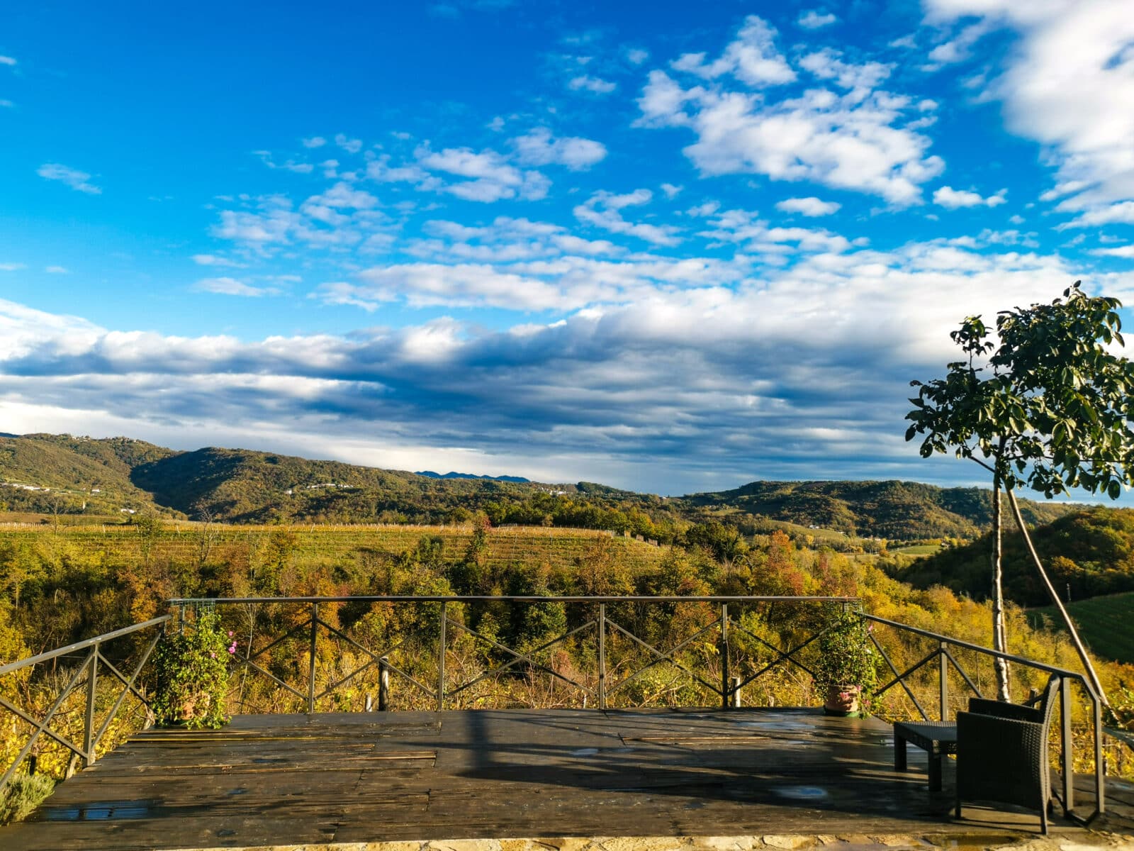 Vista sui vigneti di Prepotto