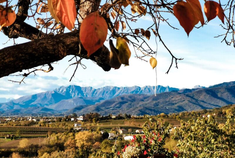 cosa fare a prepotto friuli