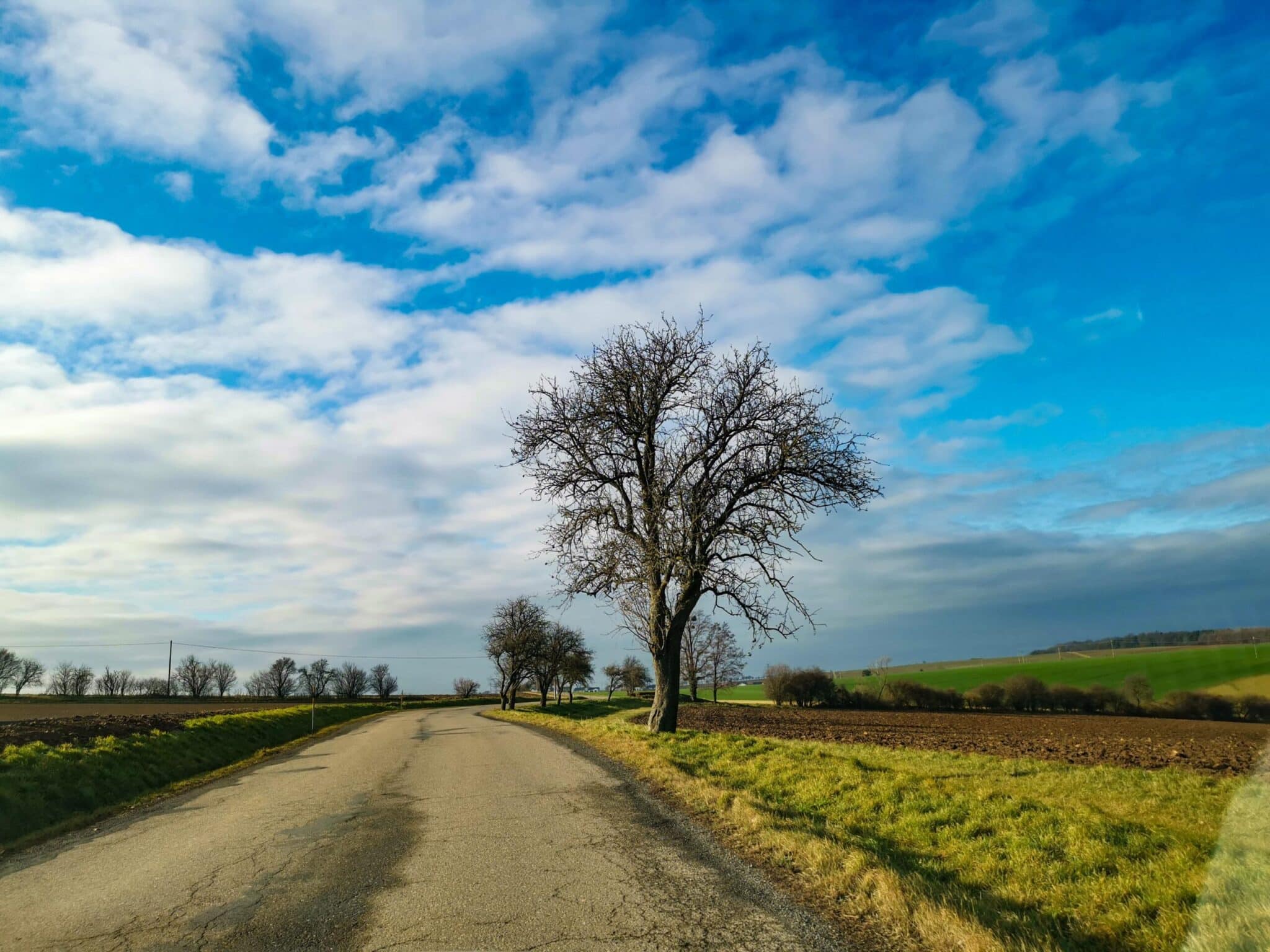 Moravia on the road