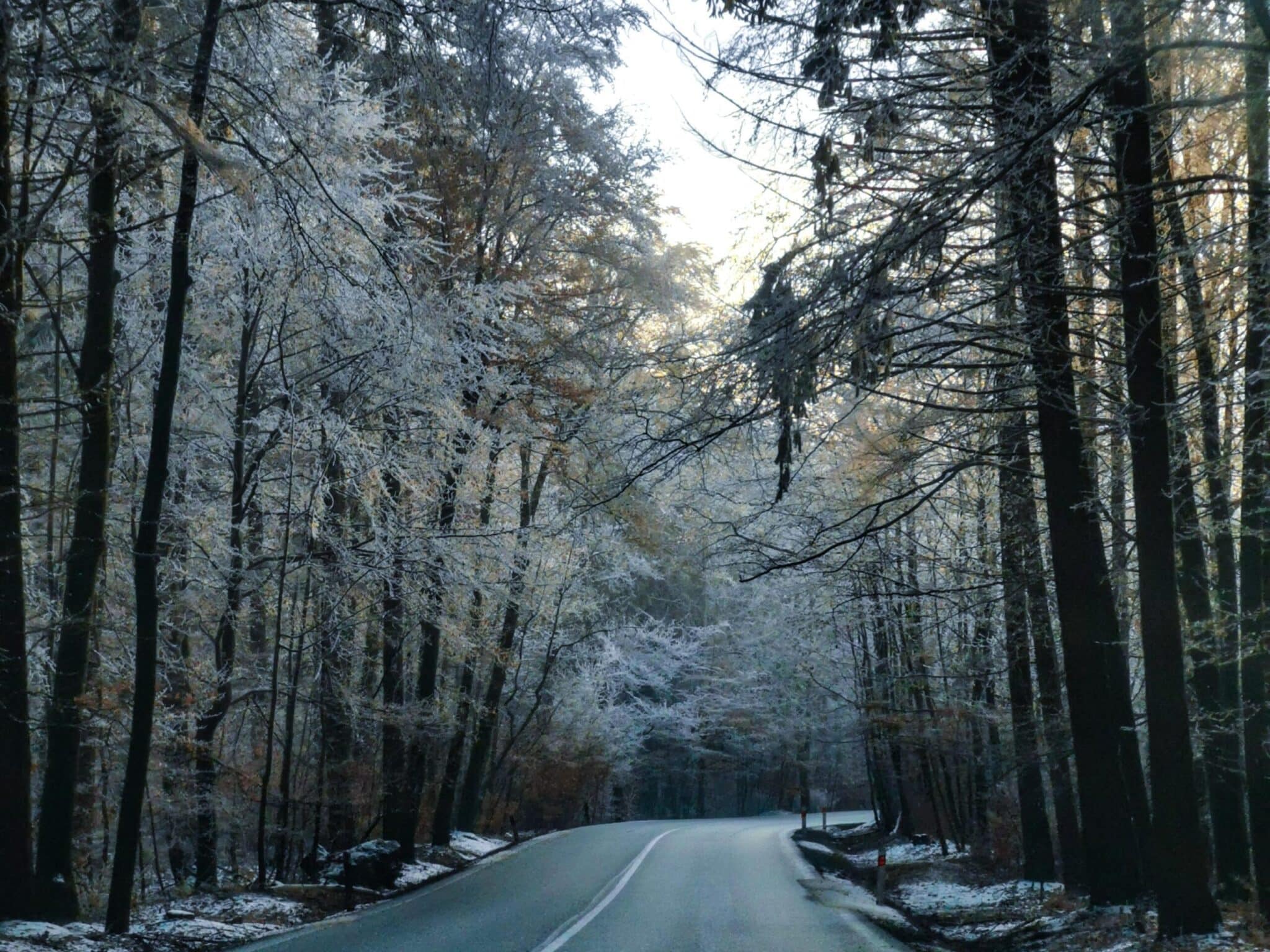 Moravia on the road