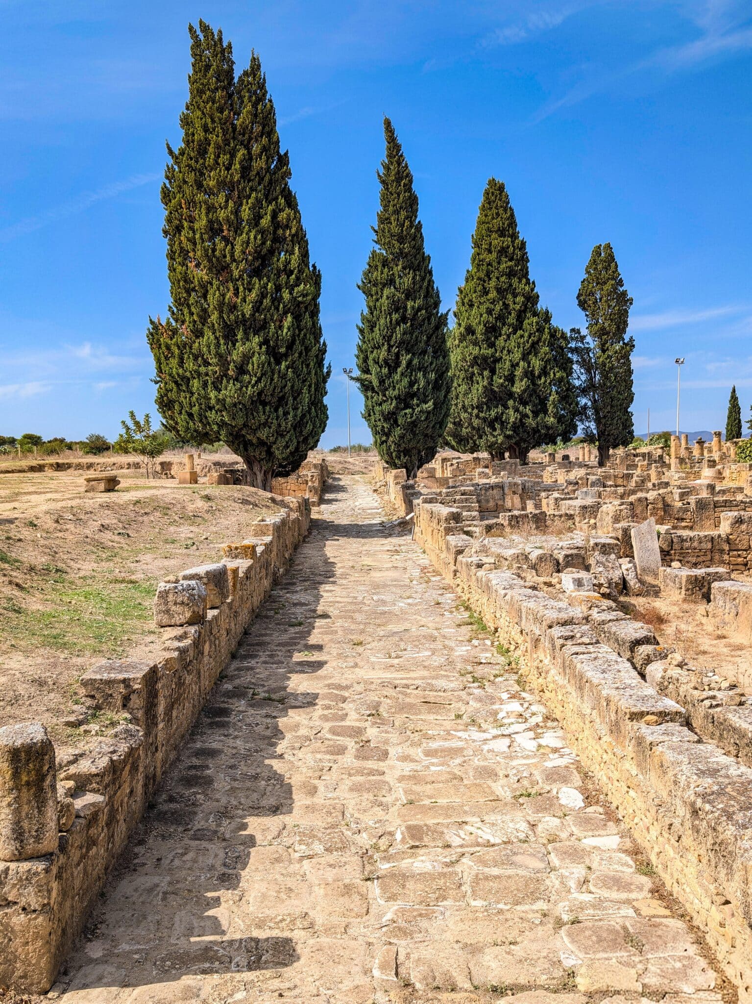 Il sito archeologico di Utica