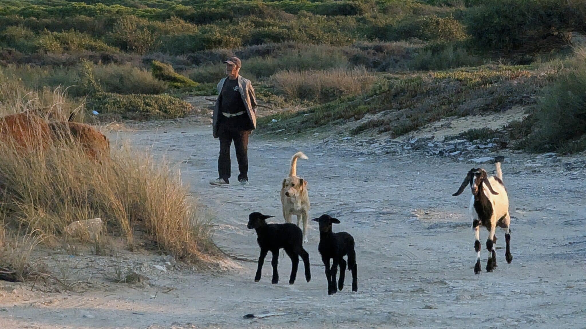Incontri on the road