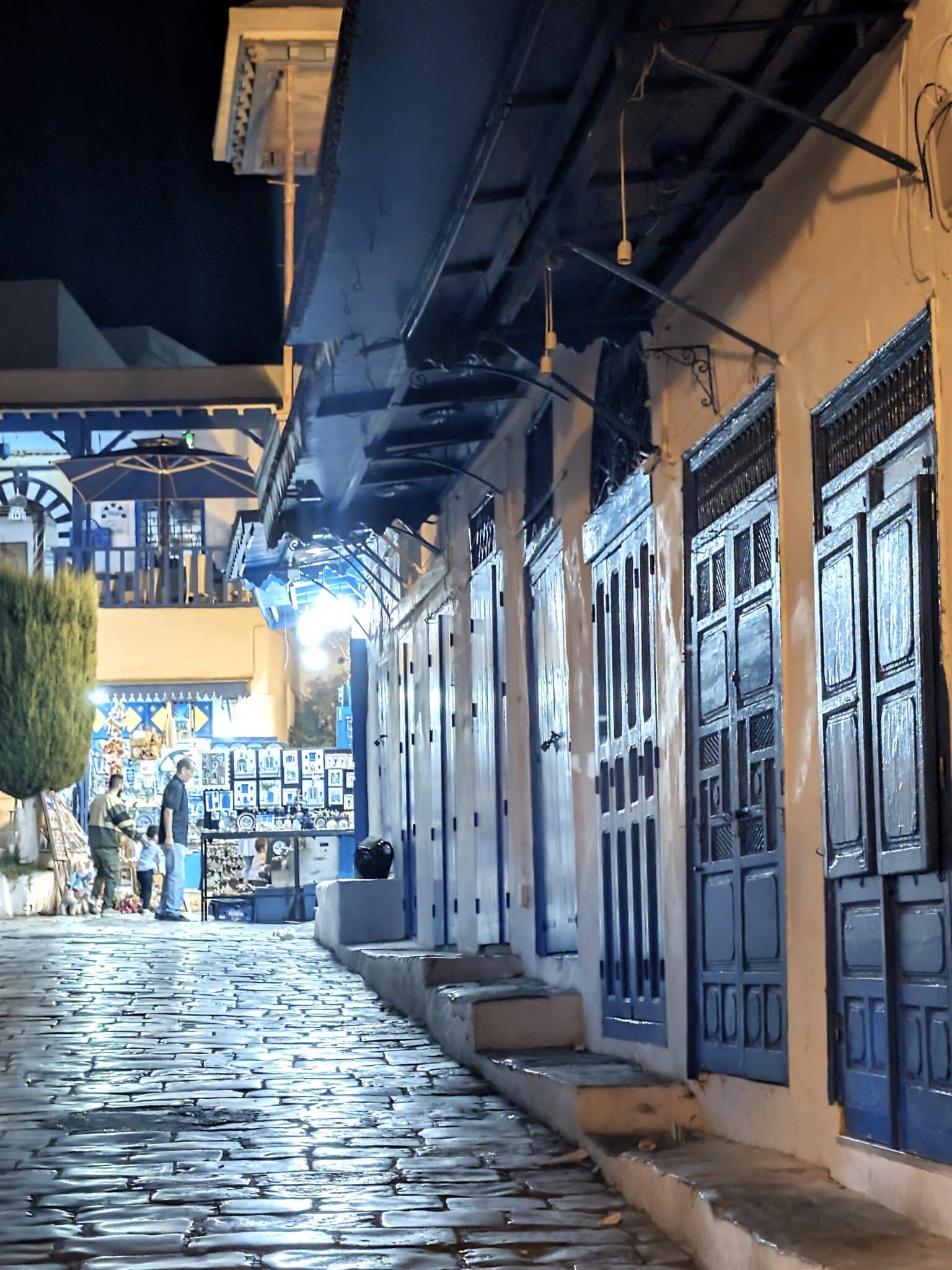 Lungo le strade di Sidi Bou Said