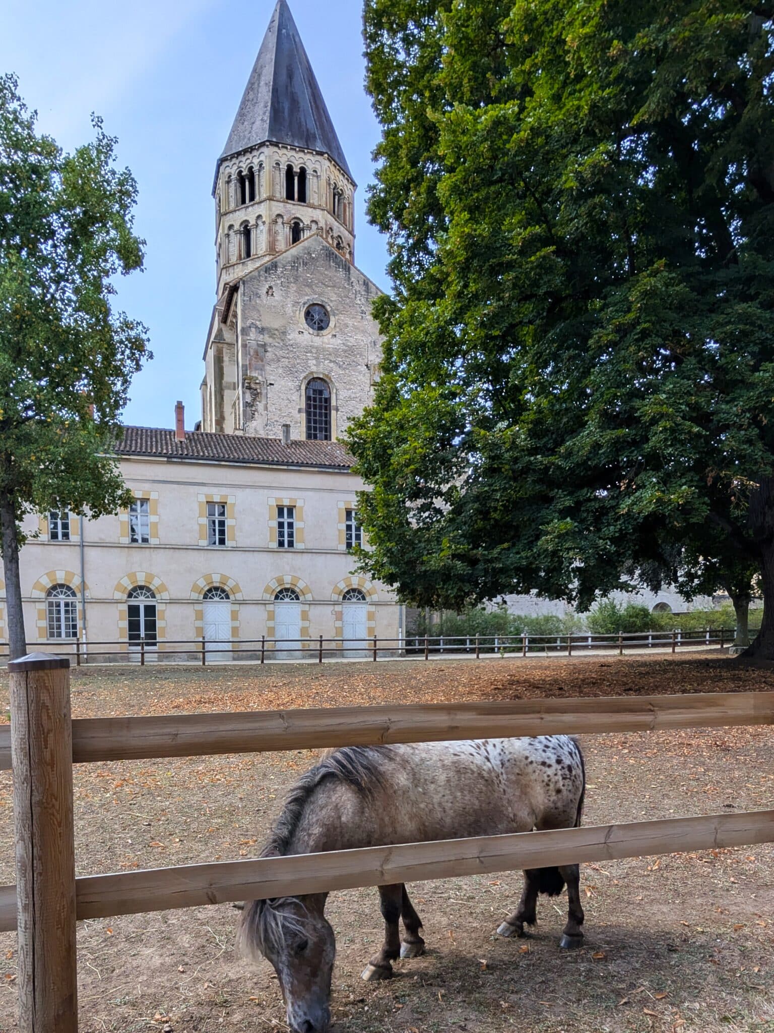 Cluny Cluny